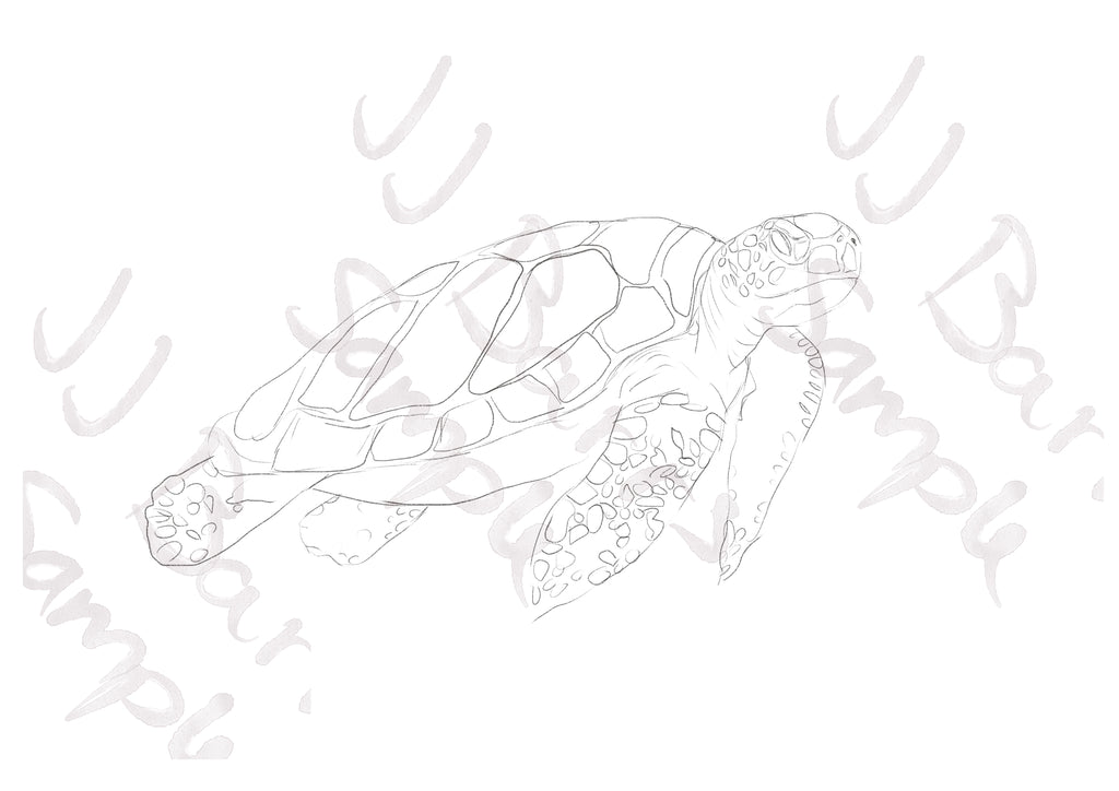 Watercolour Outline Paint Your Own At Home image 2