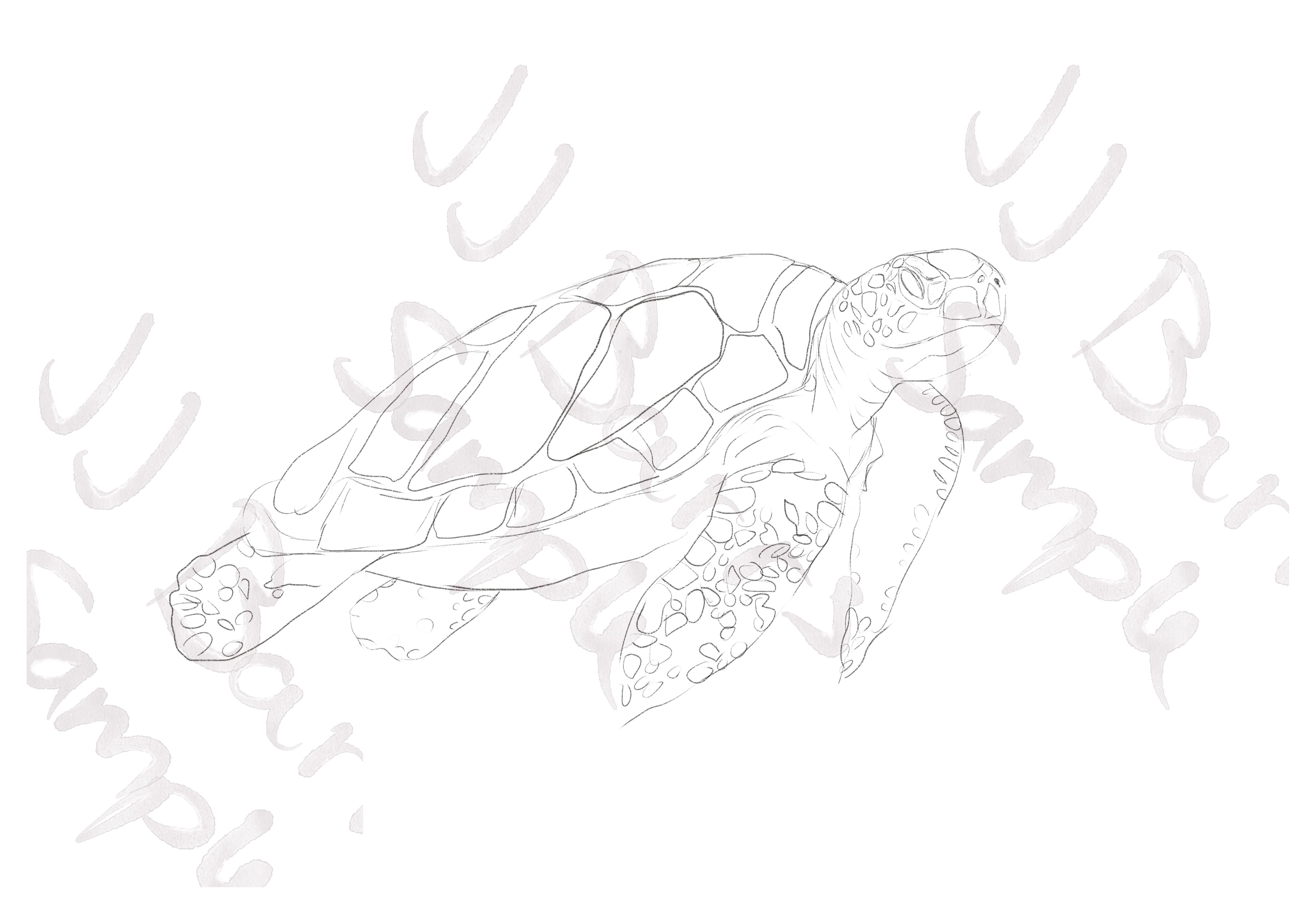 Watercolour Outline Paint Your Own At Home image 2